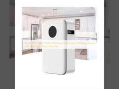 5KWh 48V 51.2V 100Ah Wall Mounted LiFePo4 Battery Home Solar Battery 5 Years Waranty